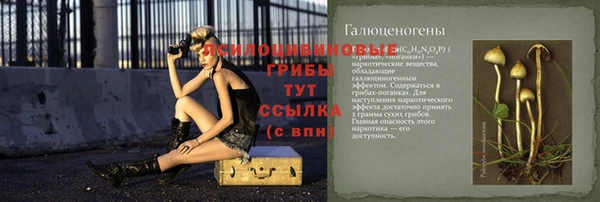 таблы Горнозаводск