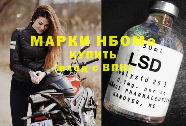бошки Горняк
