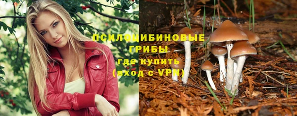 таблы Горнозаводск