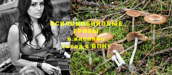 бошки Горняк